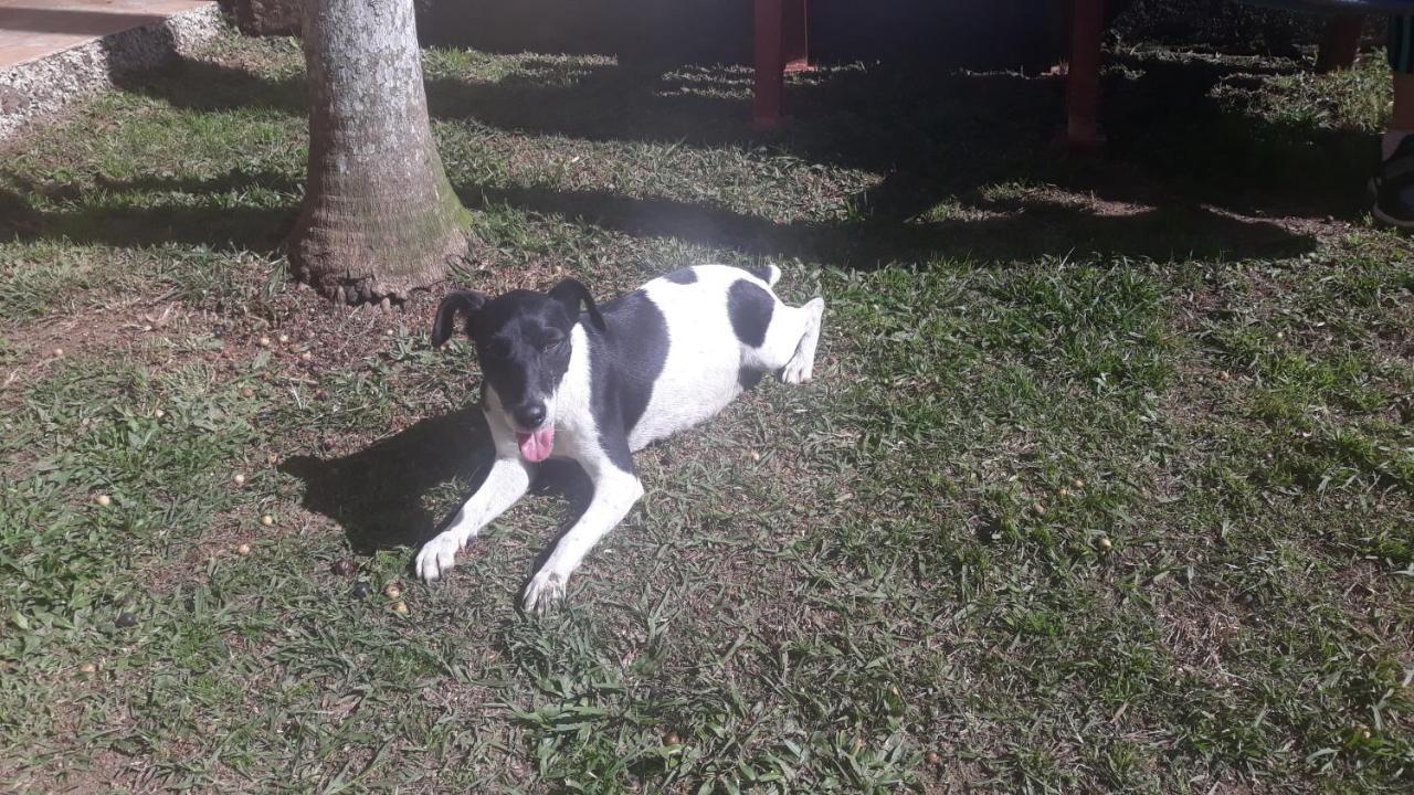 Sítio e Pousada Recanto Dos Ipês Teresópolis Exterior foto